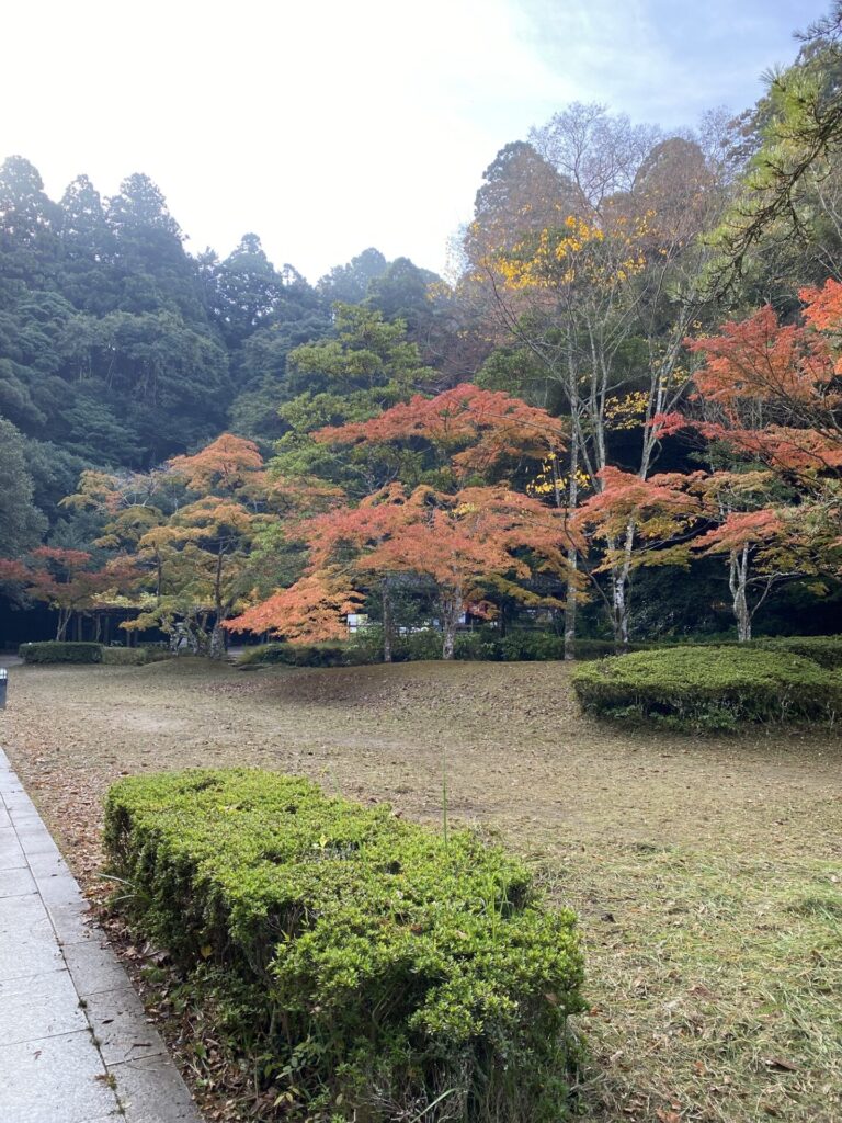 園内の様子