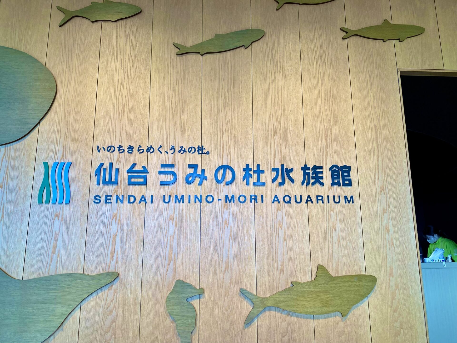 仙台うみの杜水族館